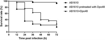 The Capsule Depolymerase Dpo48 Rescues Galleria mellonella and Mice From Acinetobacter baumannii Systemic Infections